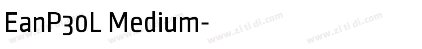 EanP30L Medium字体转换